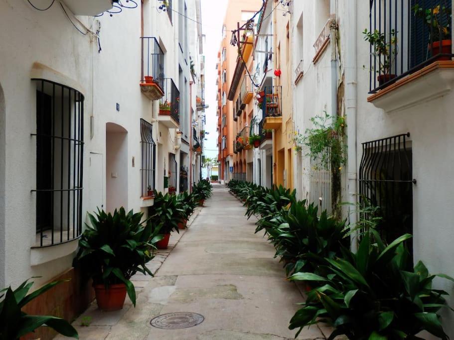 Apartamento Blanes Playa المظهر الخارجي الصورة